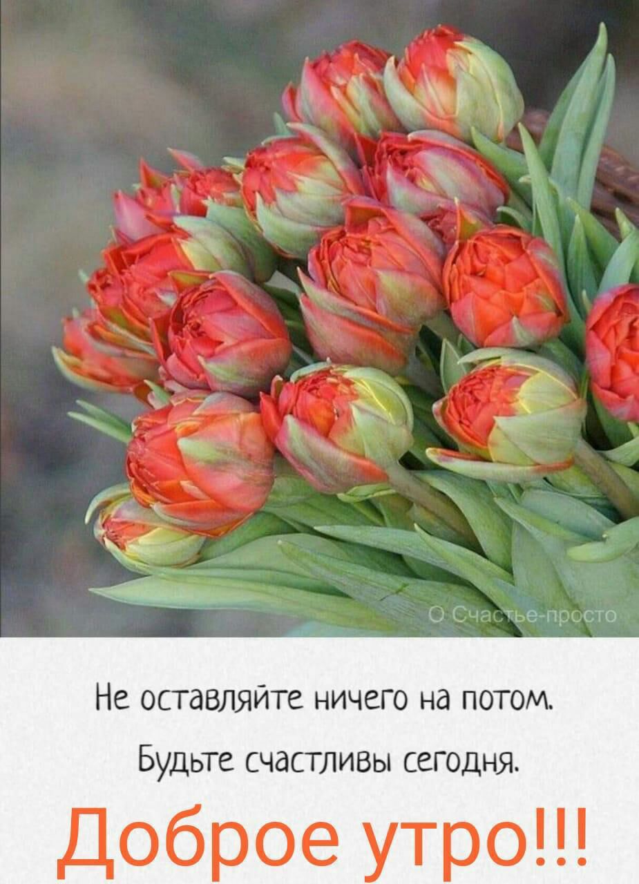 НЕ ОСГдБЛЯЙТЕ НИЧЕГО Нд ПОТОМ БУДЬТЕ СЧдСТЛИВы СЕГОДНЯ Доброе утро