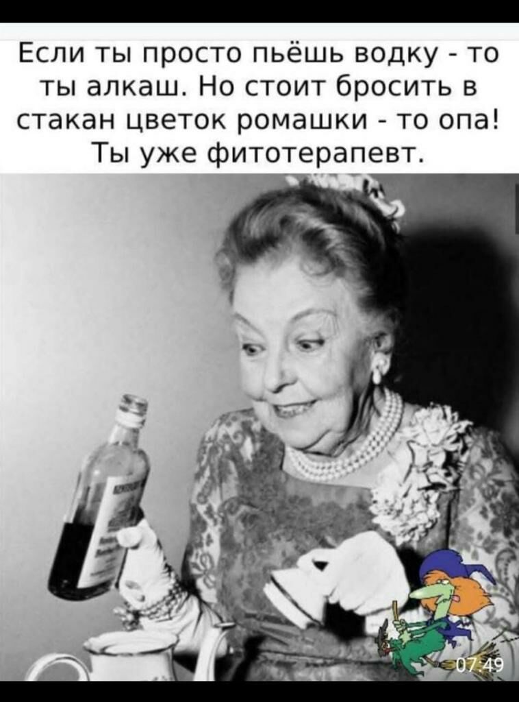 Если ты просто пьёшь водку то ты алкаш Но стоит бросить в стакан цветок ромашки то опа Ты уже фитотерапевт