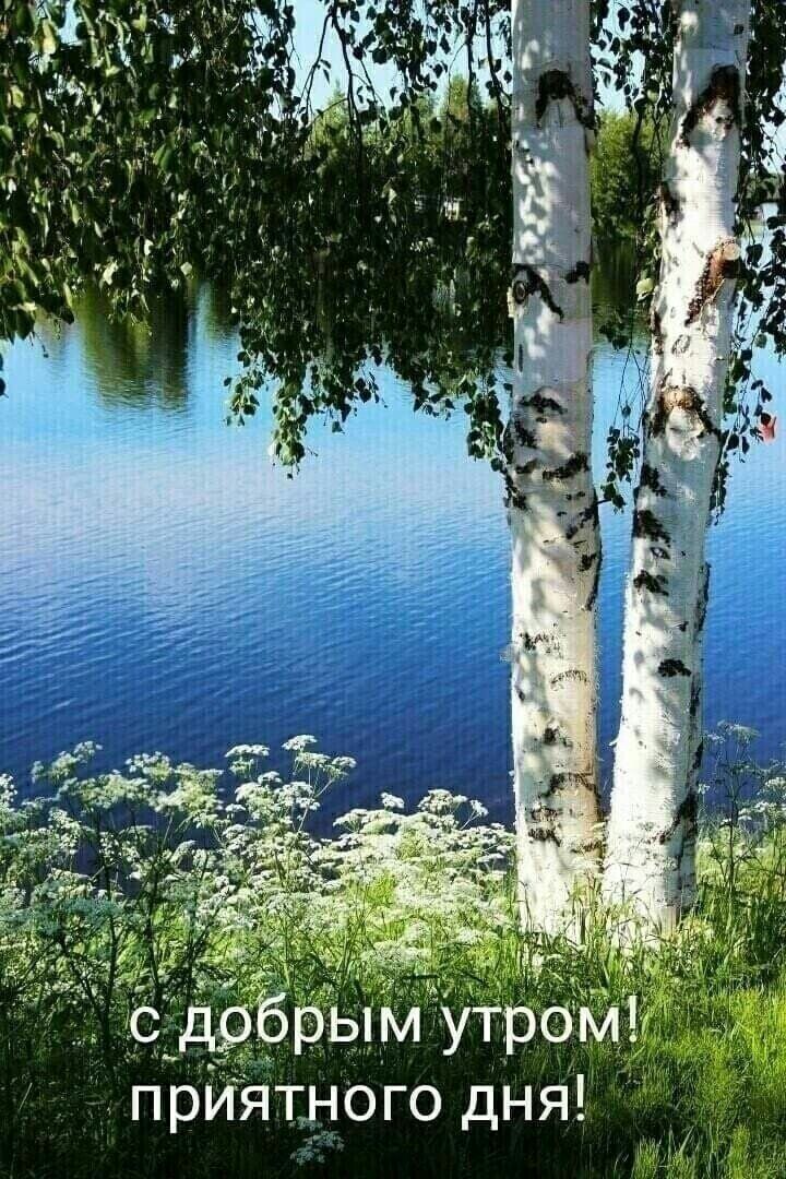 приятного дня