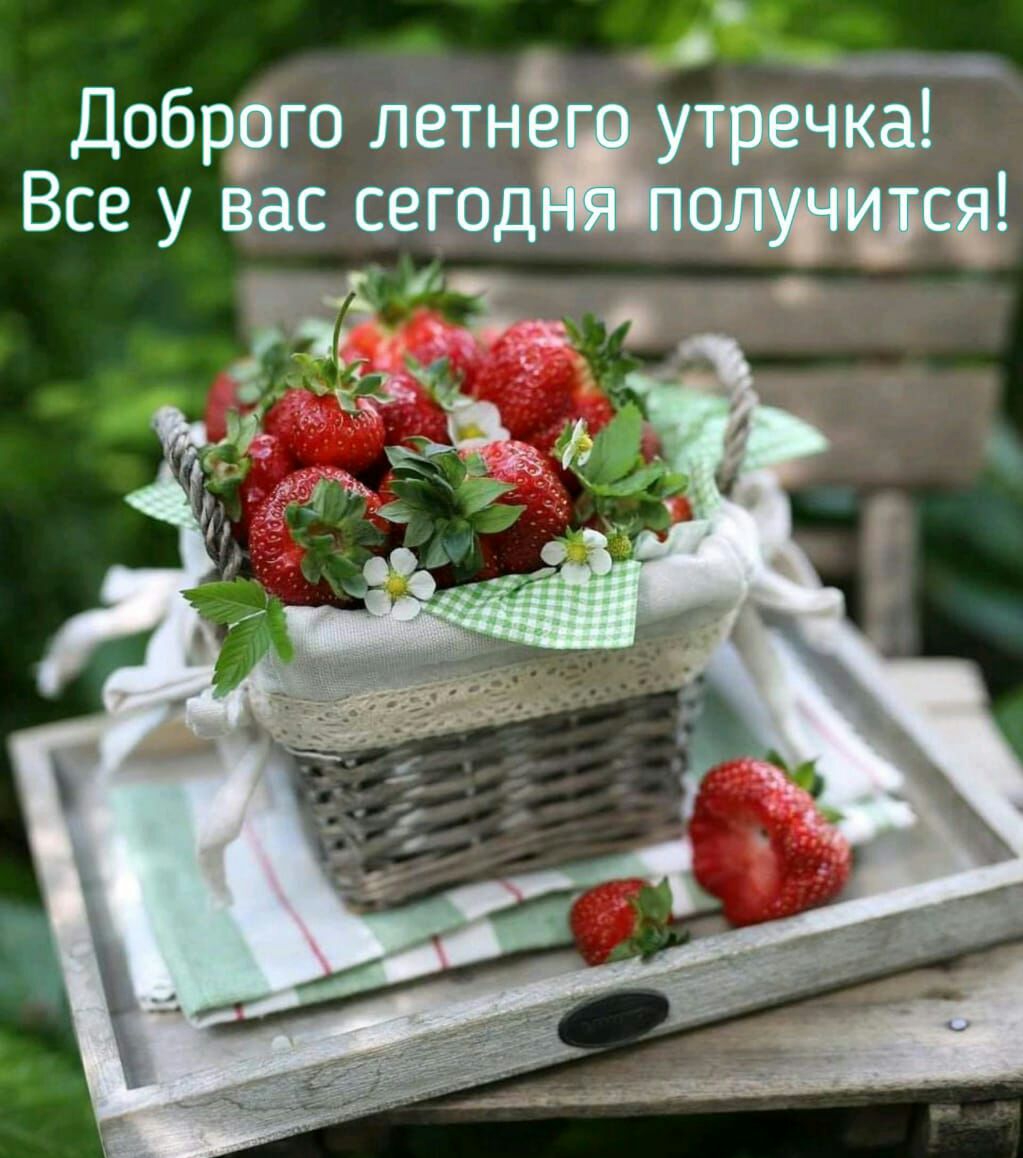 Доб го лот Все у сегод Ныггчсоіохеш