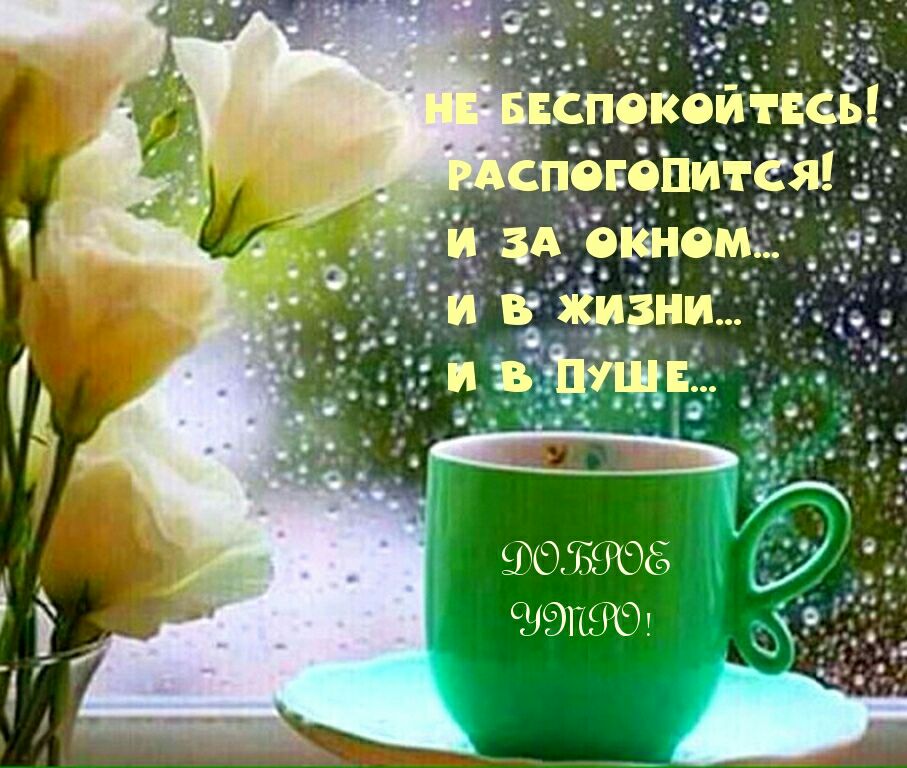 ЧЖ 3 ііъЖ