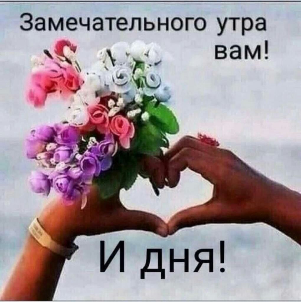 Замечательного утра К вам