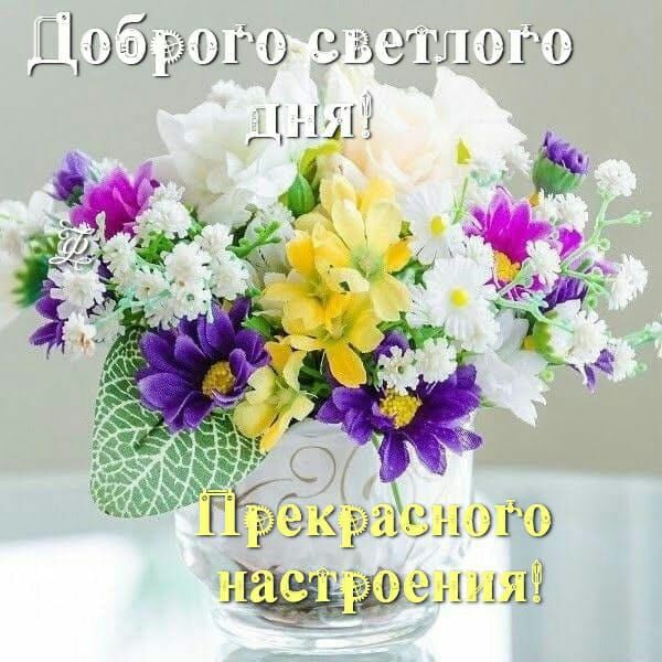 Д 06 ого цветы от _Щі