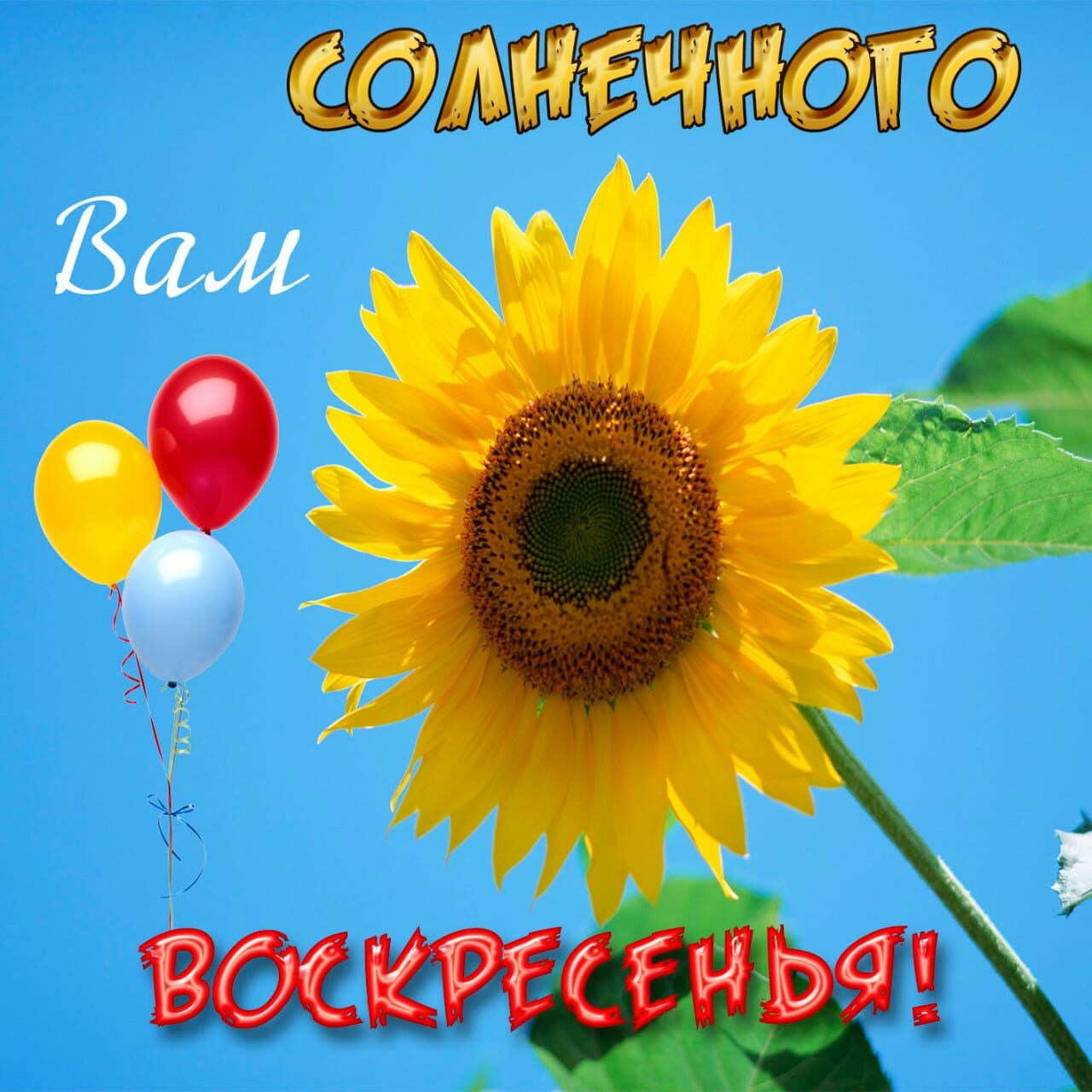 АЧНГ С
