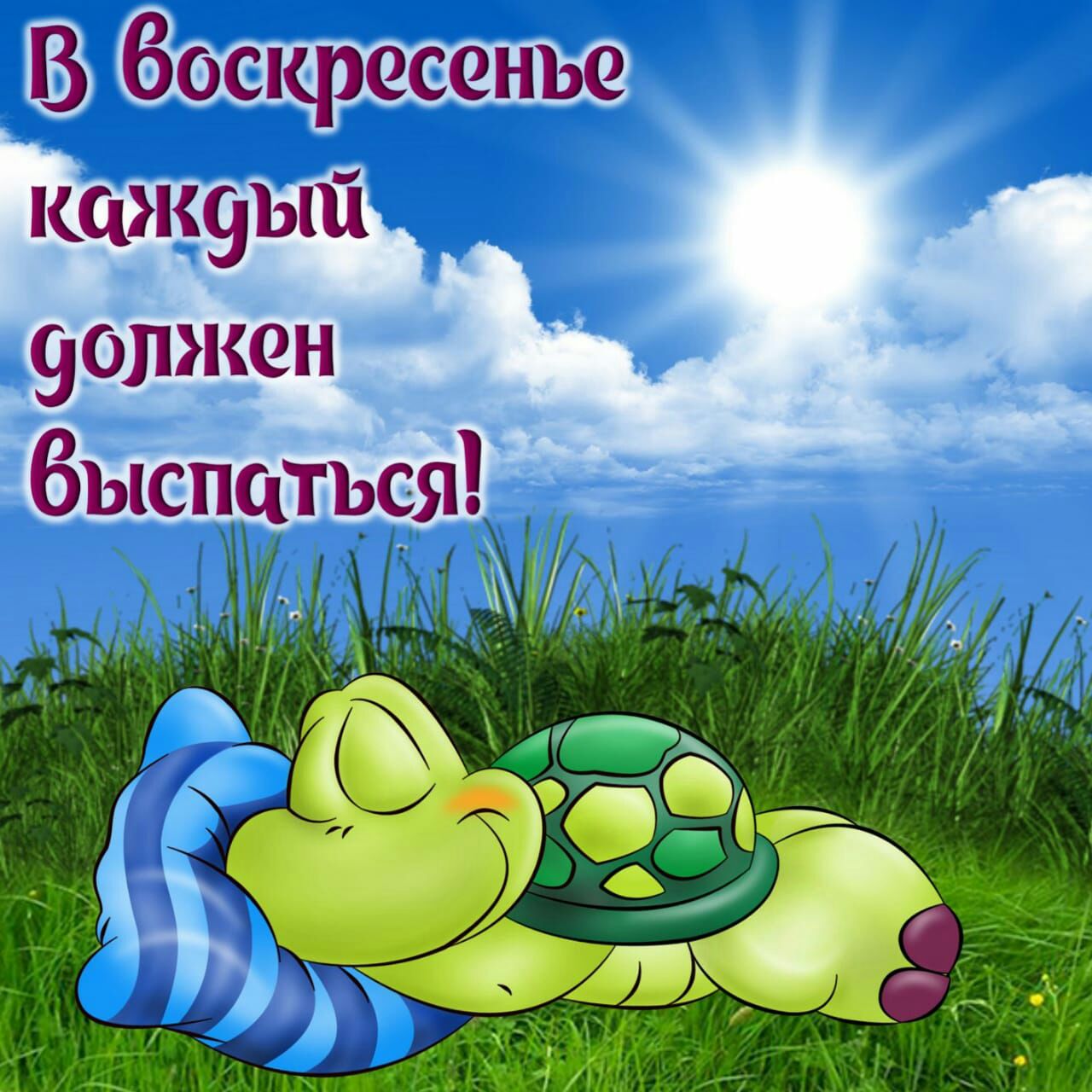ошрсенъв