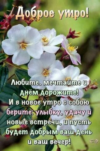 дЁ Доброе утро ноаые ветре будет добры ЭА и ваш веч С В