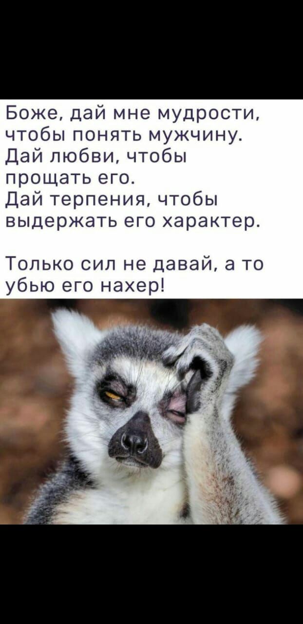 Боже дай мне мудрости чтобы понять мужчину Дай любви чтобы прощать его Дай терпения чтобы выдержать его характер Только сил не давай а то убью его нахер