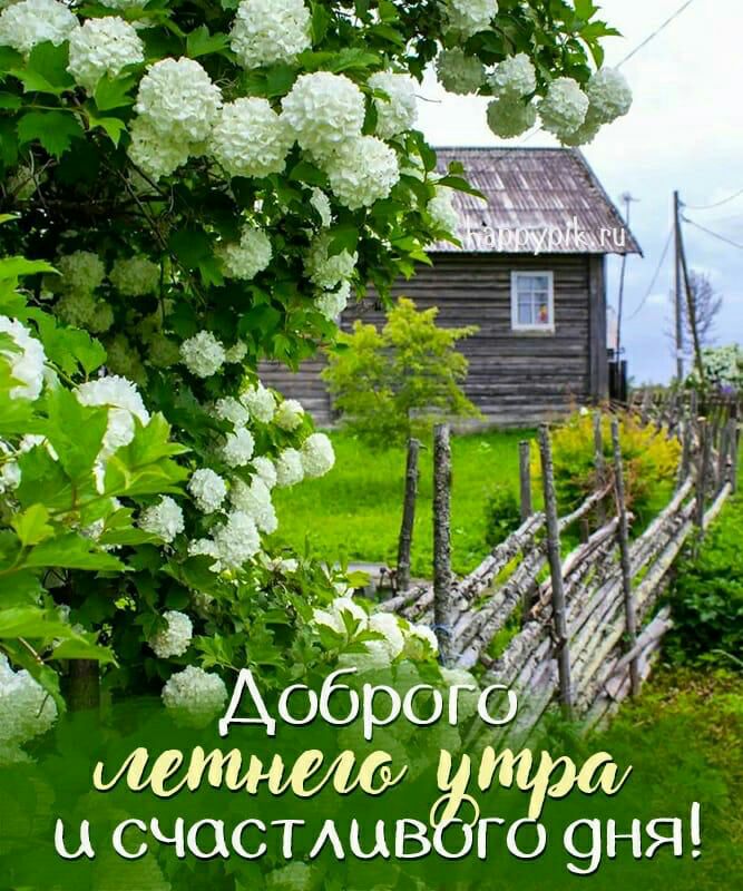 ы счастмдвёг 9ня