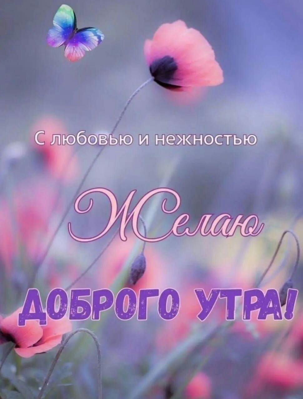 _ и Я щёжносшю