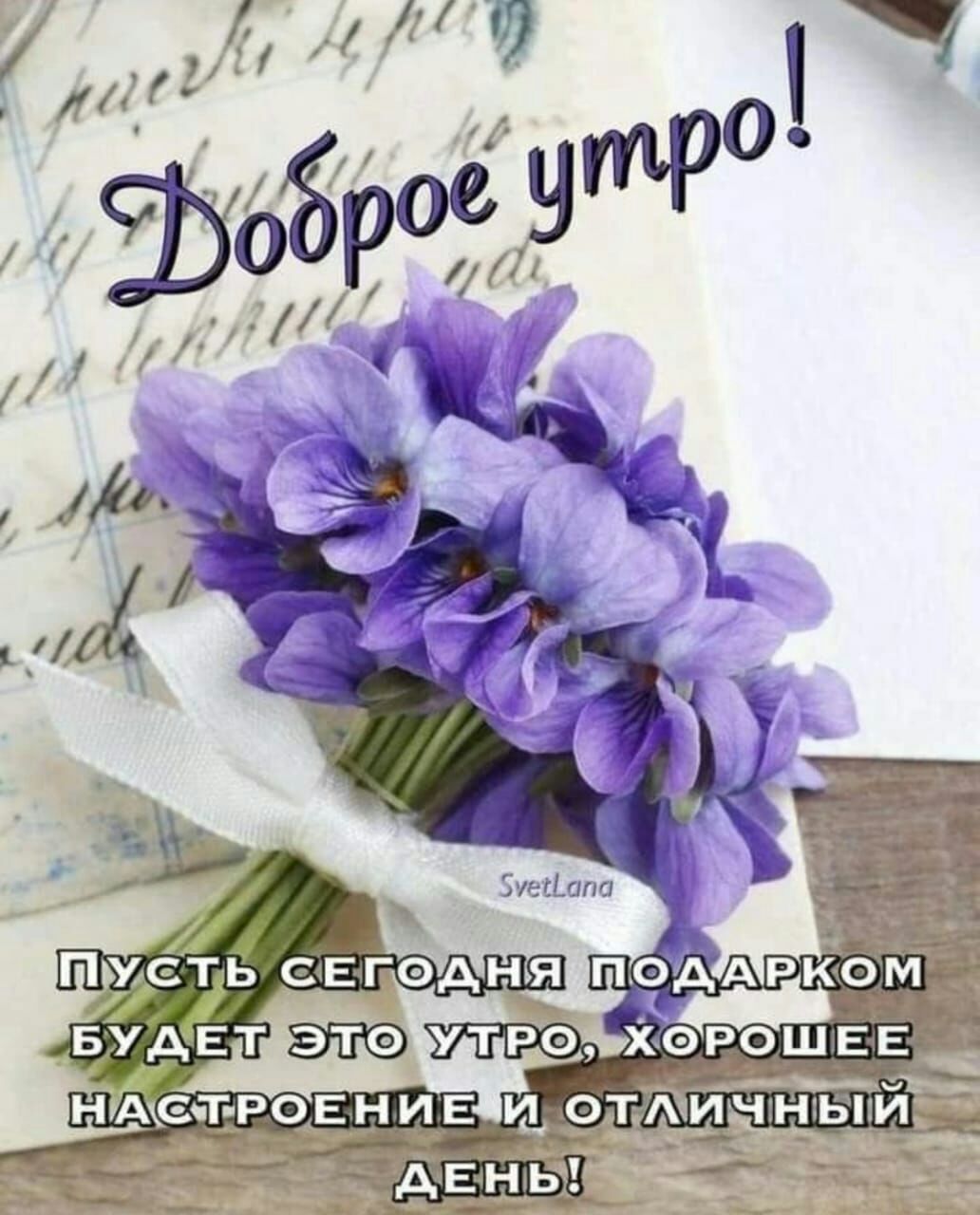 БУД Етзтё ХОРОШЕЕ НИАСЯНРОЕНИЕВИДОЛЛИ ДЕНЫ