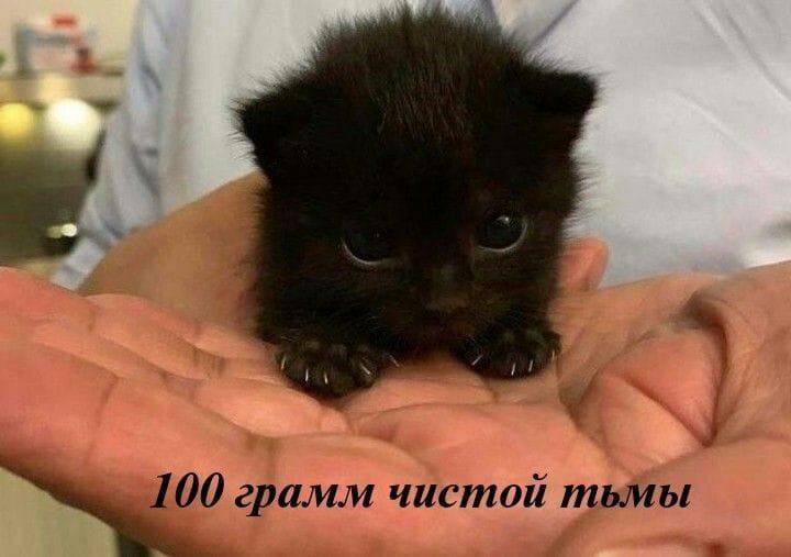 і чаа т10 Я й ич 00 грамм чистой ть