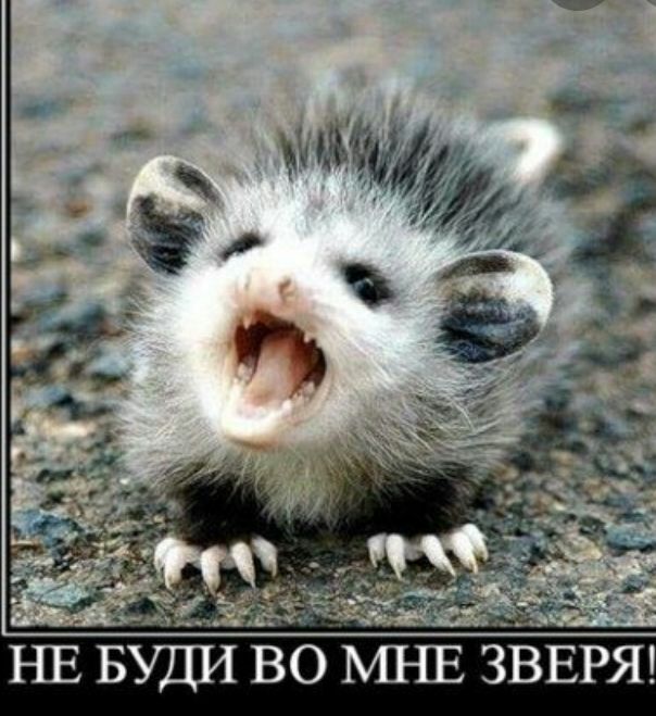 НЕ БУДИ ВО МНЕ ЗЕЕРЯ