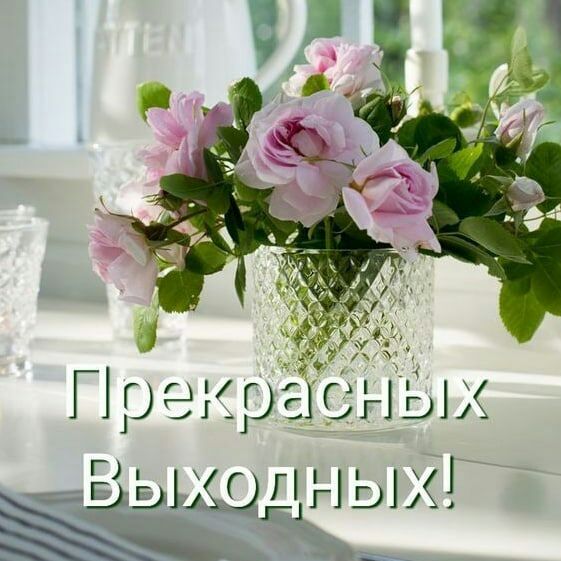 Ь Е шины