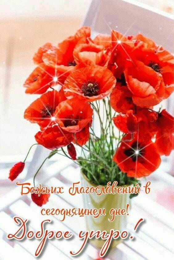 Ж _ _ С эдёьщ Ежа ЁЁ