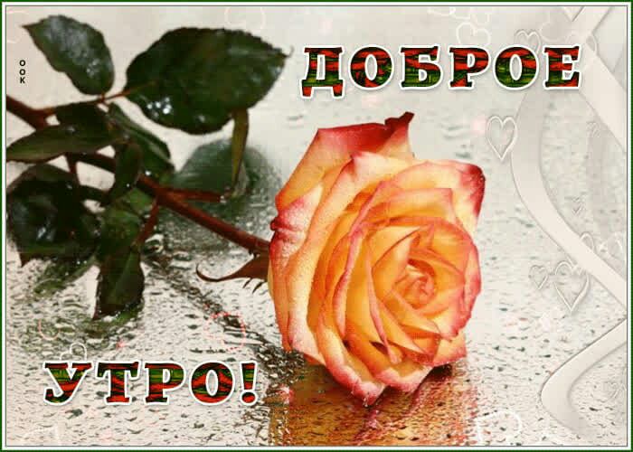 ЦЭБРОЕ и