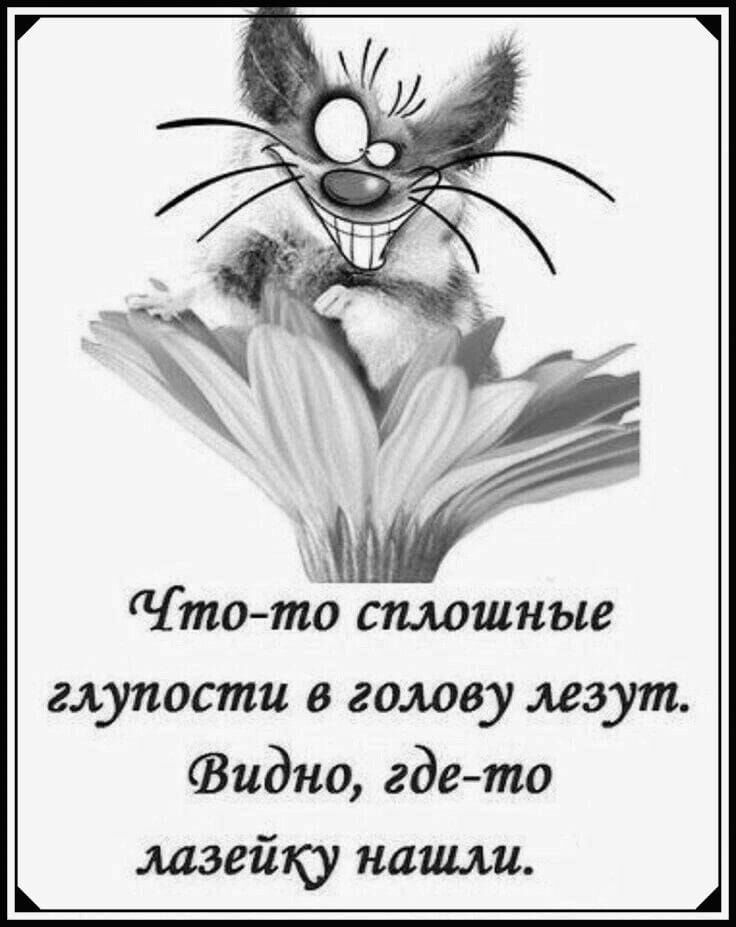 тото сплошные глупости в голову лезут Видно где то лазейку наши х_л