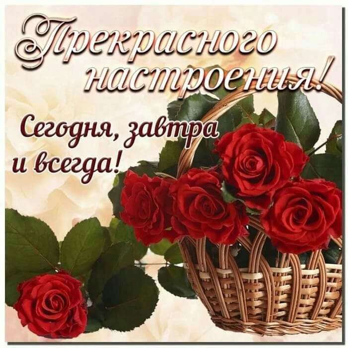 74_ ЕНОг 2