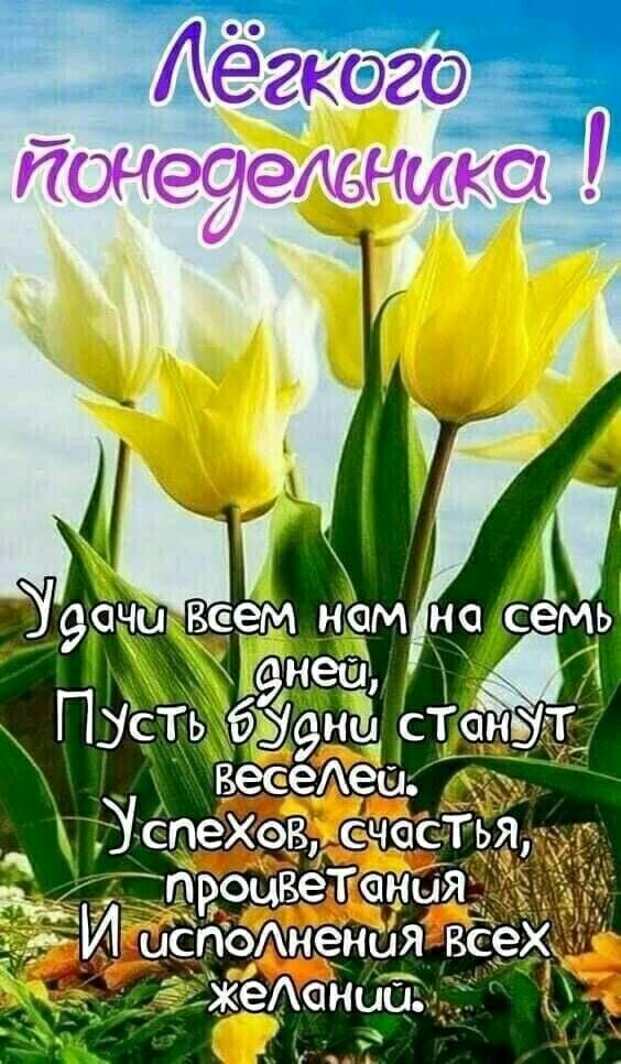 ПОНЭАЬНОКС