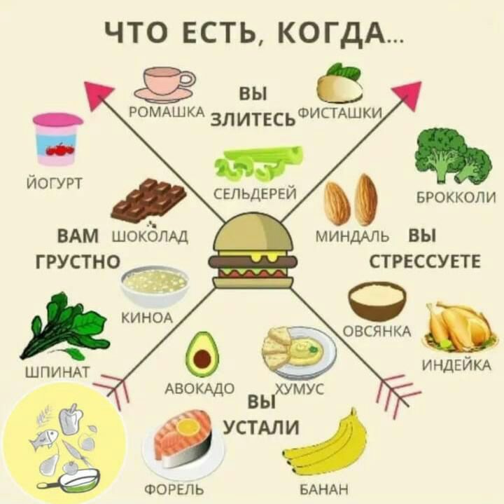 ЧТО ЕСТЬ КОГДА вы с омдшкдыипсьшищшхи и ЙОГУРТ Ельдігій диод вдм шокамд миндмь вы ГРУПНО СТРЕССУЕТЕ а о о АВОКАДБ хумУс вы УСТАЛИ Фогель ыиди