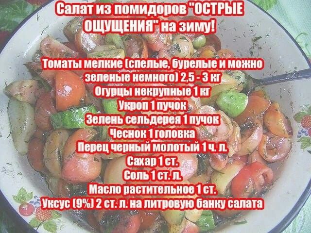 ШШЩЕШП на зиму 43 ЁЁ знмшоишшппд апа тпіыпшТупшііш влияниями 1 _ эемиь осп лин пучпи чвоипи _ ипіши исиц ін ищ мпппь