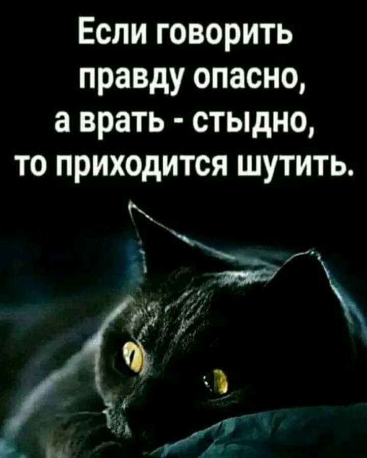 Если говорить правду опасно а врать стыдно то приходится шутить