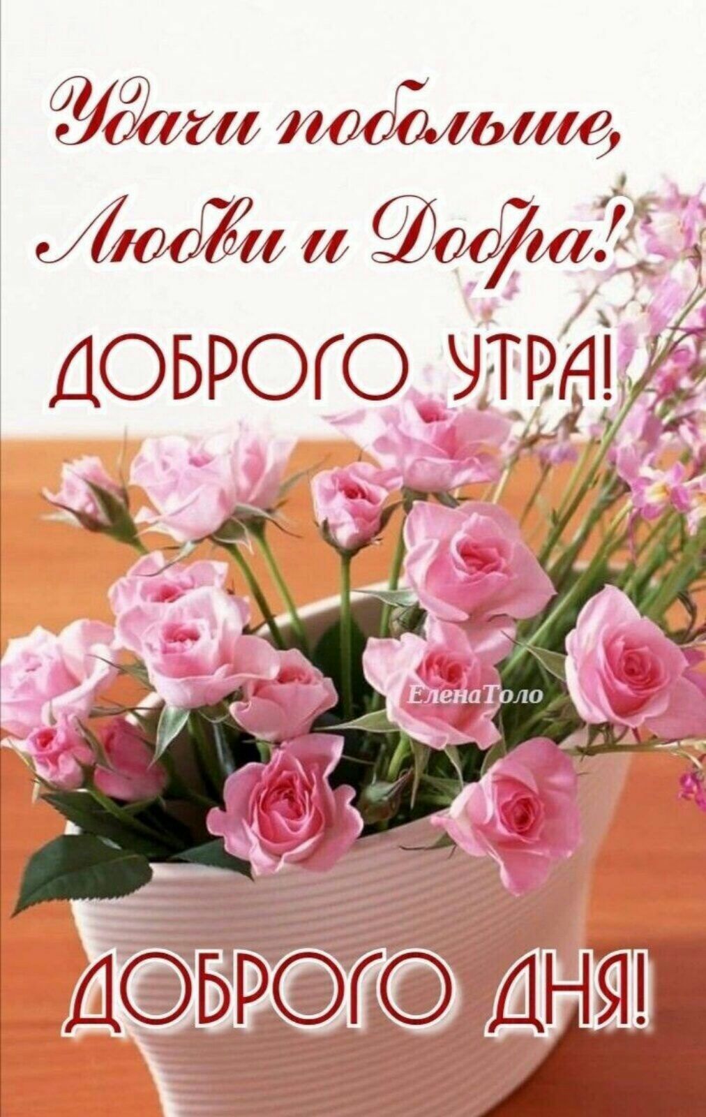 ю товдыме 00Ёи 0071521