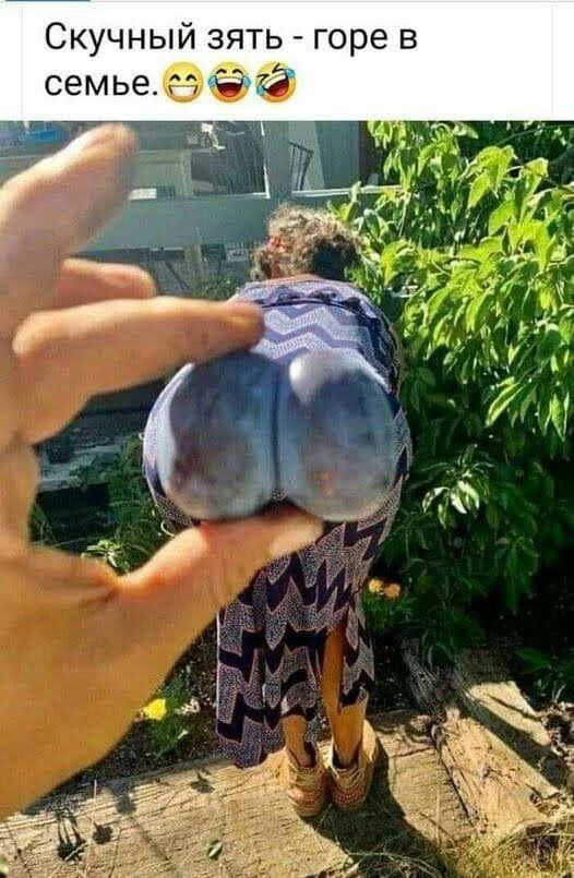 Скучный зять горе в