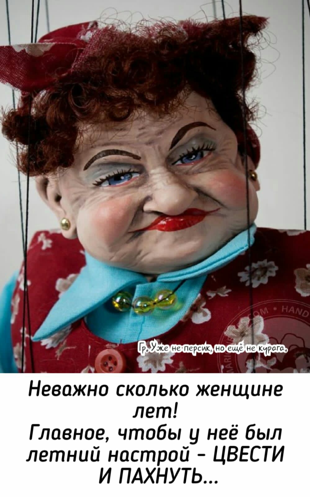 Неважно сколько женщине лет Главное чтобы у неё был летний настрой ЦВЕСТИ И ПАХНУТЬ