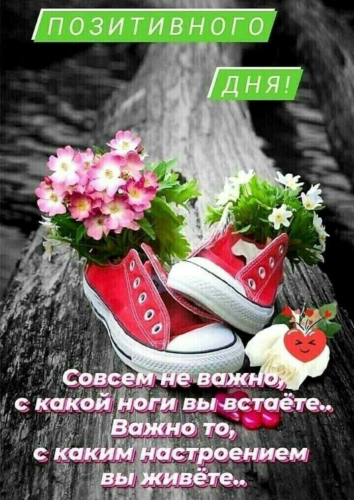 по3итиВногЧ