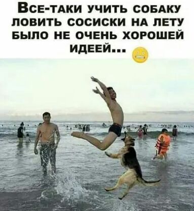 ВСЕ ТАКИ УЧИТЬ СОБАКУ ПОВИТЬ сосиски НА ПЕТУ БЫЛО НЕ ОЧЕНЬ ХОРОШЕЙ ИДЕЕЙ
