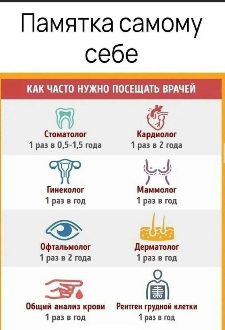 Памятка самому себе КАК ЧАСТО НУЖНО ПОСЕЩАТЬ ВРАЧЕЙ ё Спиитвш Кпп ош 1 раз 05 15 год 1 раз в 2 гида Титколог Мими слог 1разптд 1раэшд шмм драники 1рі3в2тдв Цна тд О 25 общий анализ кра Реити групой пити 1разнтд 1різтл