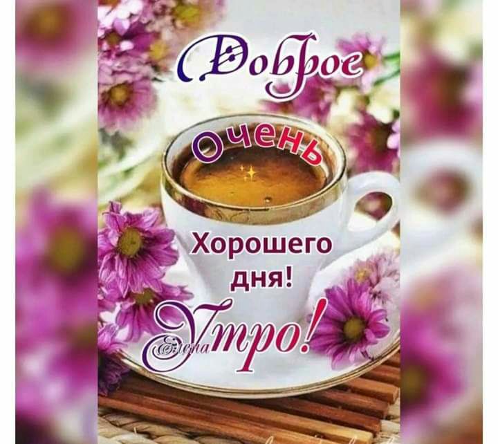 Хорошего дня в с с У г