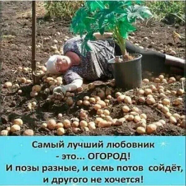 Самый лучший любовник это ОГОРОД И позы разные и семь потов сойдёт и другого не хочется
