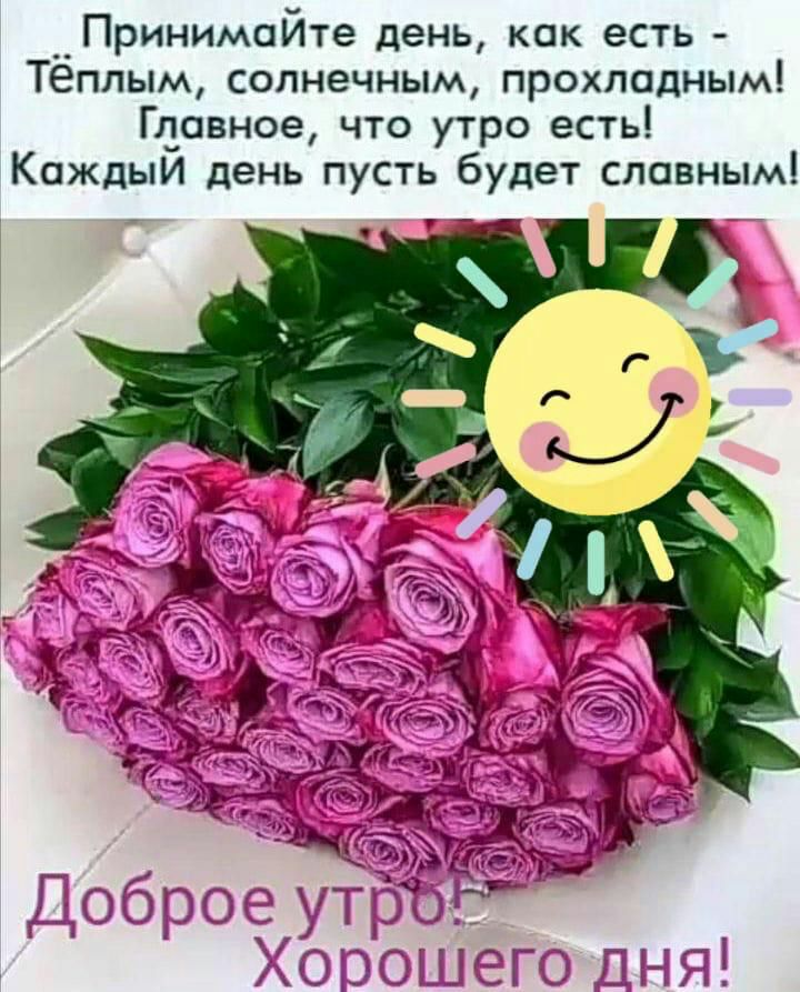 Принимайте день как есть Тёплым солнечным прохладным Главное что утро есть Каждый день пусть будет славным ъ Доброе утро Хорошего ДНЯ1