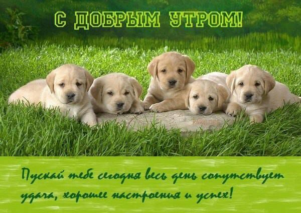 ЩПВЁЁЫШ ЮЕШШШЬ