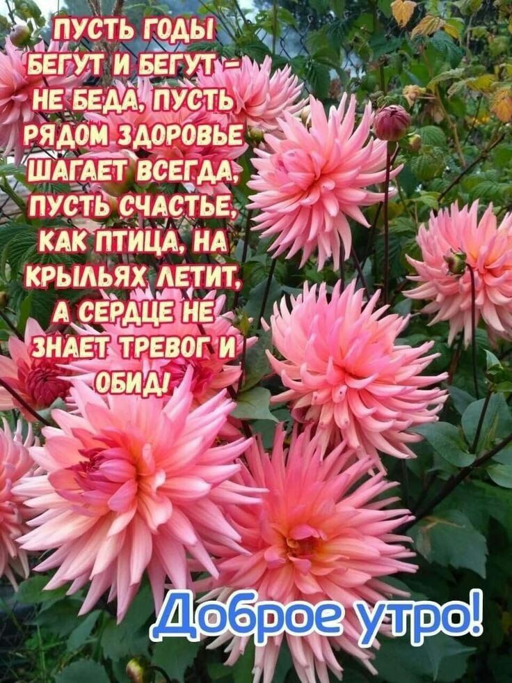 ___ ЩАЩ всвгмэ ёпубтьтсзцсЁгБЁд кдкЁПтИЦАЁну