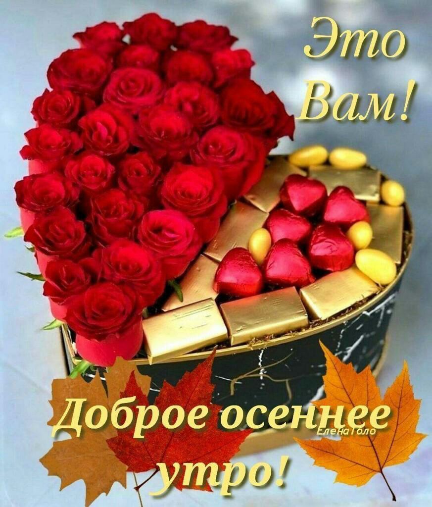 т л Заира
