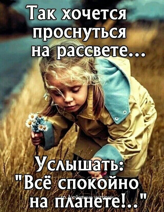 тчется проснуться н арЁСс вете ежа С УСАЫШЗТЬ Все спокойно на гіАЗНё