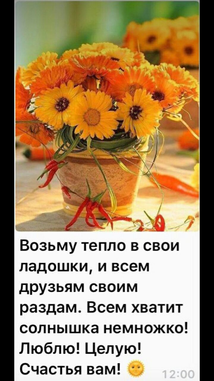 Возьму тепло в свои ладошки и всем друзьям своим раздам Всем хватит солнышка немножко Люблю Целую Счастья вам