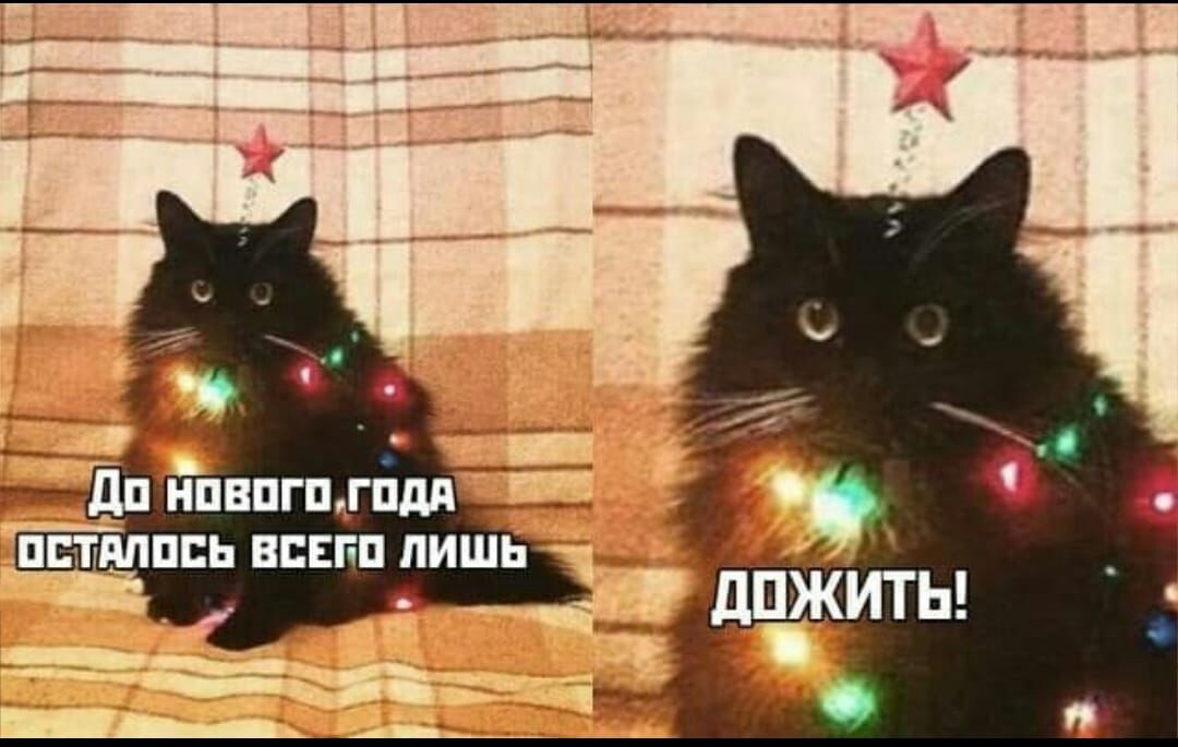 ППМПСЬ ПСЕГП ЛИШЬ