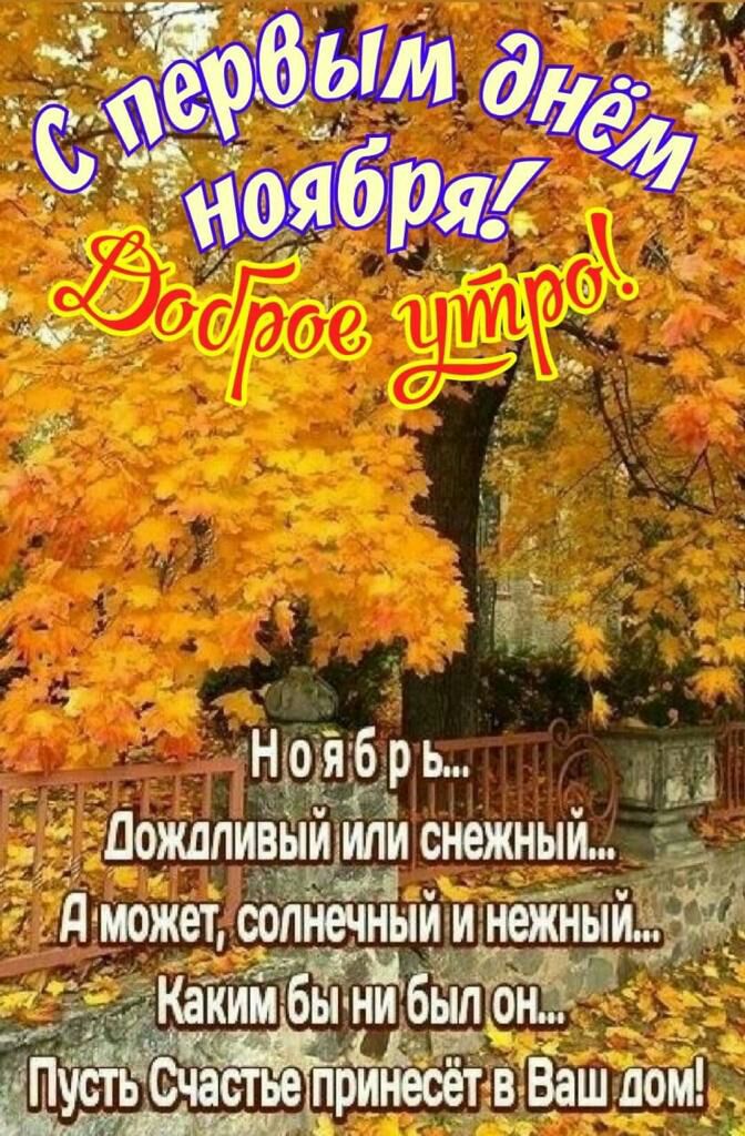 11140316 р ь Ложипивыимпи снежный