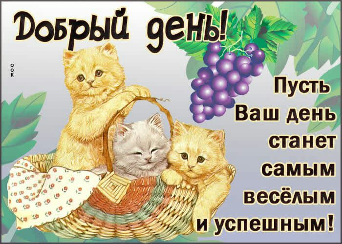 Воврый вены Пусть _ Ваш день станет самым весёАым спешным