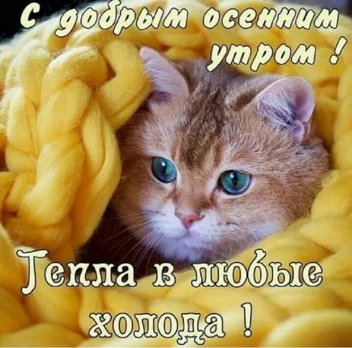 01761 ШЩЩЁ 2да аП