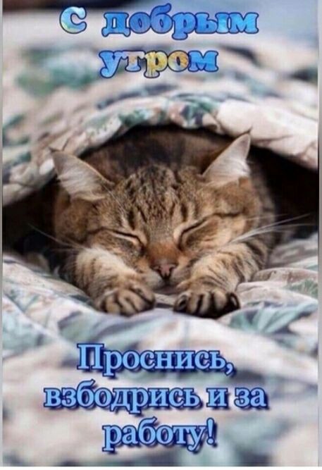 ЦЕН г Гіцдз ЗдЦщЦЩ ГП4 цы
