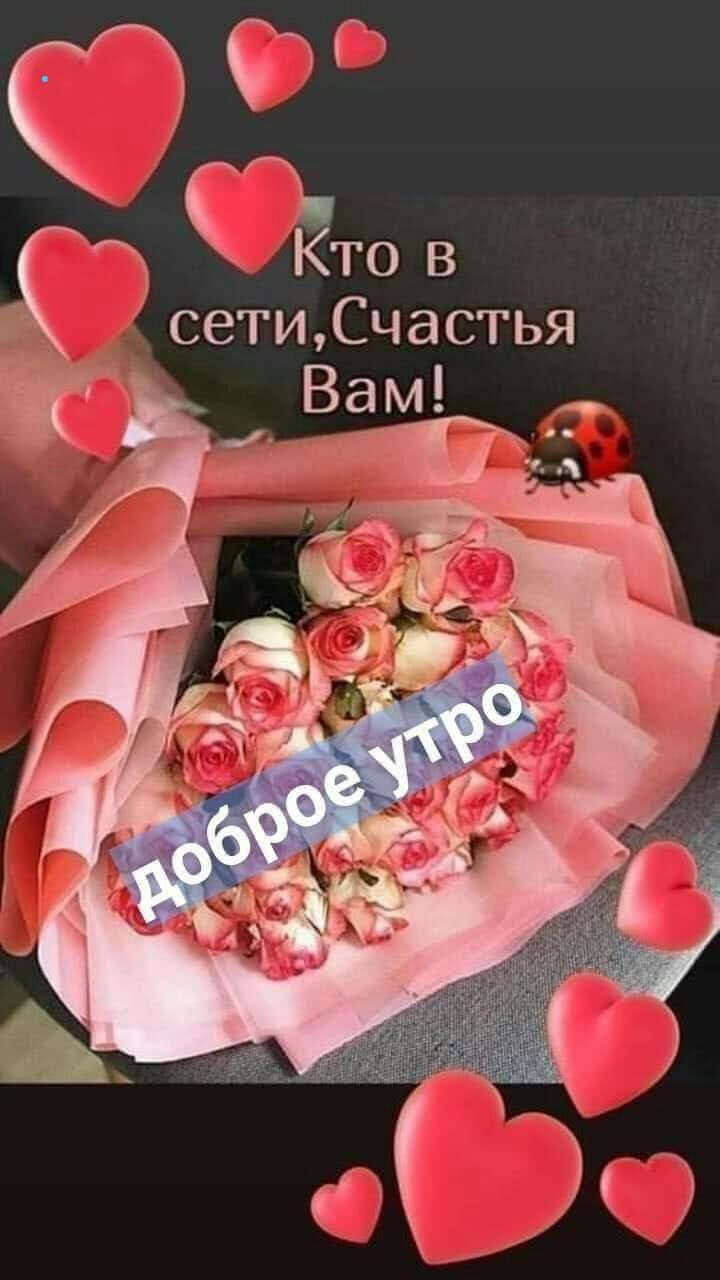 фз Кто в осети Счастья