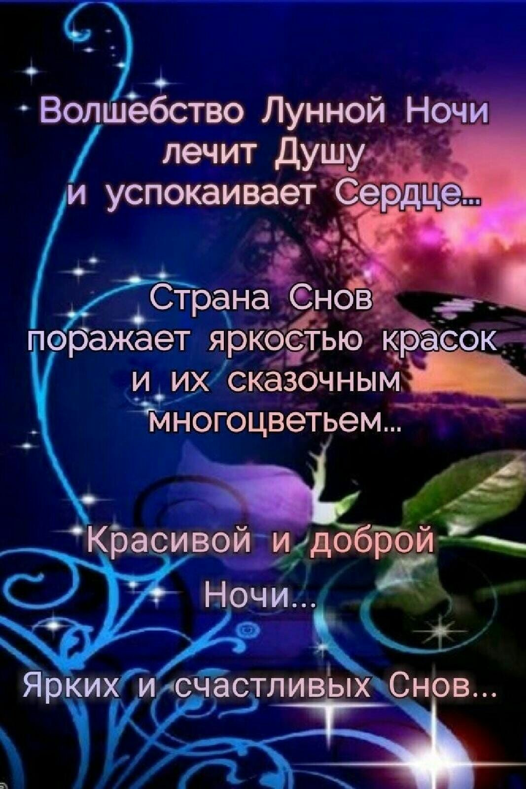 о Волшебство Лунной Ноч лечит ду и успокаивает 2 Страна СН поражаетіярко тыо кр к_ их сказочным ЁЁН ногоцветьем
