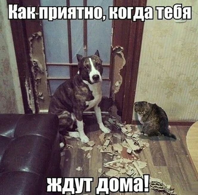 __Ъ Нан ппияпіюгда 45