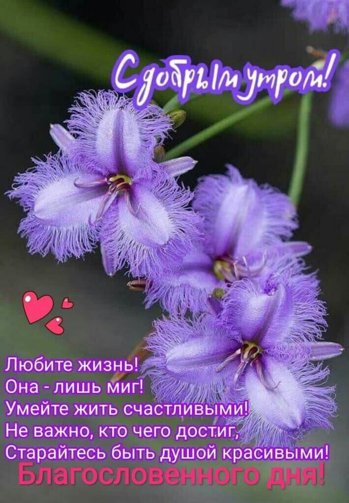 Любите жизнь оао сар щй 9на_пишн Миг тарайтесь быть душой к