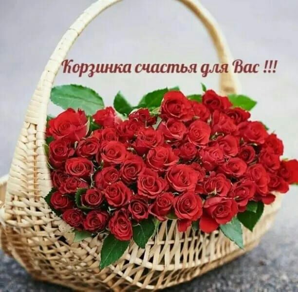 Впс Яотшиш шиепья ры