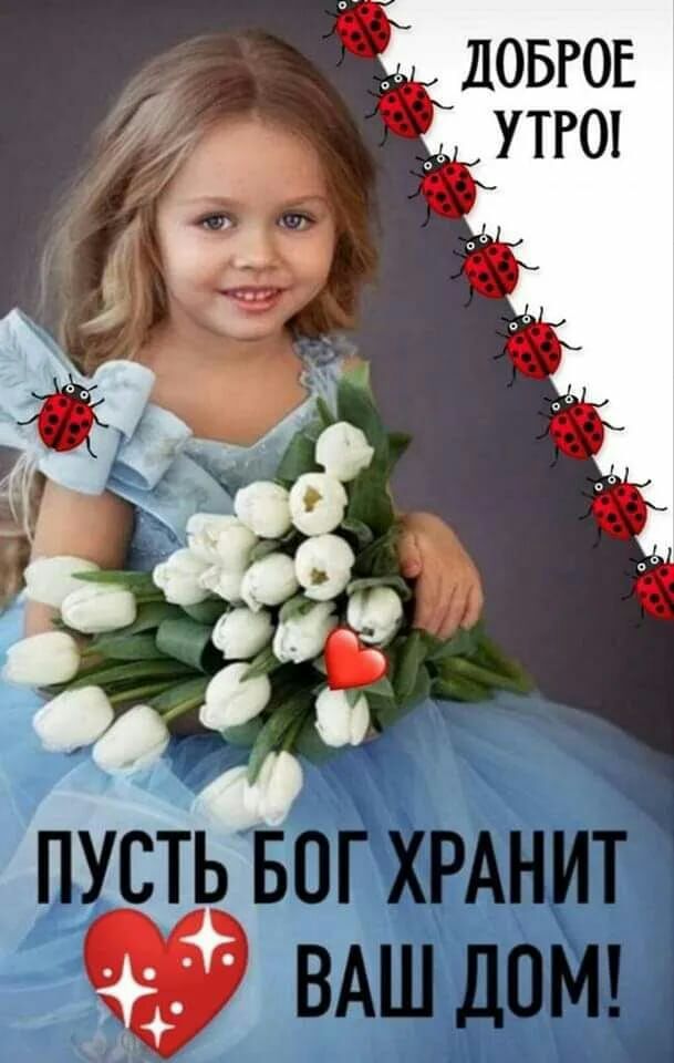 ловгов утгок